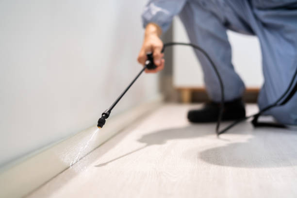 Licensed Pest Control service in Rawls Springs, MS - Show Me Pest Control