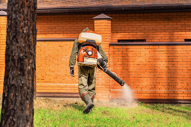 Bed Bug Clearance Verification and Documentation in Rawls Springs